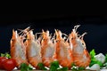 Cooked shrimps,prawns Royalty Free Stock Photo