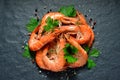 Cooked shrimps,prawns Royalty Free Stock Photo