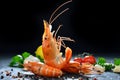 Cooked shrimps,prawns Royalty Free Stock Photo