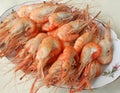 Cooked shrimps with shells Royalty Free Stock Photo