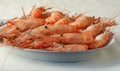 Cooked shrimps with shells Royalty Free Stock Photo