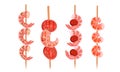 Cooked Shrimps Skewered on Wooden Stick Vector Set