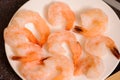 Cooked shrimps on white plate