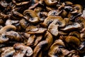 Cooked and Sliced Cultivated Mushrooms Close Up Macro View in Pan. Royalty Free Stock Photo