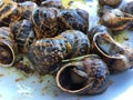 Cooked snails. Greece Royalty Free Stock Photo