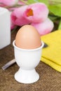 Cooked sof tboiled eggs Royalty Free Stock Photo