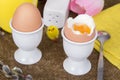 Cooked sof tboiled eggs Royalty Free Stock Photo