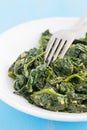 Cooked spinach