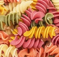 Cooked spiral multicolor rotini pasta