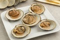 Cooked spisula solida or surf clams