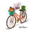 Cooked square glutinous rice cake and blossom, bicycle. Vietnamese new year. Translation
