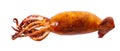 Cooked squid close-up Royalty Free Stock Photo