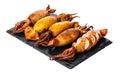 Cooked squid close-up Royalty Free Stock Photo