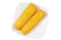 Cooked sweet cob corn on dish isolated