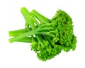 Cooked tenderstem broccoli Royalty Free Stock Photo