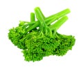 Cooked tenderstem broccoli Royalty Free Stock Photo