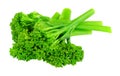 Cooked tenderstem broccoli Royalty Free Stock Photo