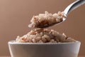 Cooked Thai brown rice in a bowl with spoon Royalty Free Stock Photo