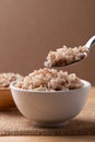 Cooked Thai brown rice in a bowl with spoon Royalty Free Stock Photo