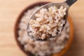 Cooked Thai brown rice in a spoon and bowl Royalty Free Stock Photo