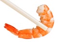 Cooked Unshelled Tiger Shrimp In Chopsticks