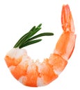 Cooked unshelled tiger shrimp with rosemary twig