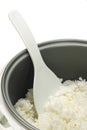 Cooked white rice in cooker pot Royalty Free Stock Photo