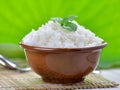 Cooked white rice garnished with mint Royalty Free Stock Photo