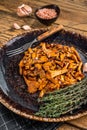 Cooked wild fried chanterelle mushrooms with onions and herbs. Wooden background. Top view Royalty Free Stock Photo