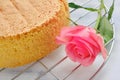 Cooked yellow biscuit and flower close-up, white background. Sponge cake