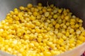 Cooked yellow corn grains, organic product to accompany hot drinks, atoles in Guatemala, Central America. Zea mays