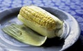 Cooked yellow mealie on a plate