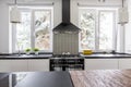 Cooker and eave in modern kitchen