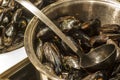 Cooker with stewed mussels