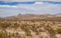 Cookes Range wilderness near Deming, New Mexico