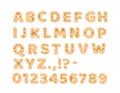 Cookie alphabet and numbers. Gingerbread letters and figures. Flat, cartoon, vector