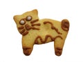 Cookie cat Royalty Free Stock Photo