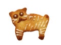 Cookie cat Royalty Free Stock Photo