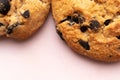 Cookie with chocolate chip with selective focus on pink dish