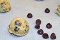 Cookie Dough with Chocolate Chips Closeup Royalty Free Stock Photo