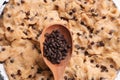 Cookie dough with chocolate chips Royalty Free Stock Photo