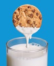 Cookie milk. Royalty Free Stock Photo