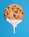 Cookie milk. Royalty Free Stock Photo