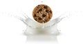 Cookie Splashing into Milk on White Background Royalty Free Stock Photo