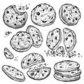 Cookie vector hand drawn illustration. Chocolate chip cookies with crumbs, bitten and whole. Homemade biscuits. Royalty Free Stock Photo