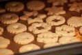 Cookies on a baking sheet in the oven Royalty Free Stock Photo