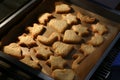 Cookies on a baking tray fresh out of the oven