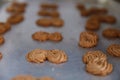 Cookies biscuit cracker pancake baked bums on baking tray sweet treats desserts high calorie food popular refreshment Royalty Free Stock Photo