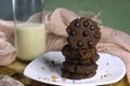 Cookies with chocolate granules served with a glass of milk are very appropriate served as morning snacks, have a lot of protein, Royalty Free Stock Photo