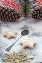 Cookies and Coffee for Santa Claus Royalty Free Stock Photo